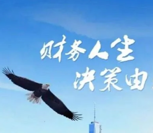 财务决策模拟实训